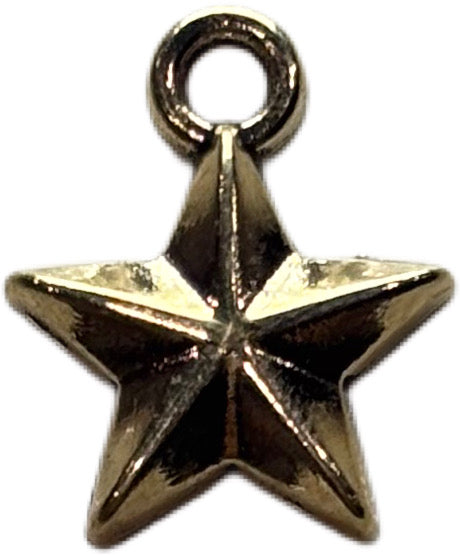 Gold Star Charm